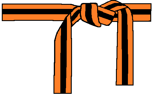 Kids Orange Belts | Academy of Classical Karate